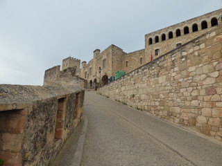 Tortosa, ciudad y capital del Bajo Ebro, situada en la provincia de Tarragona, Cataluña. Es sede episcopal y constituye un importante centro agrícola, comercial e industrial