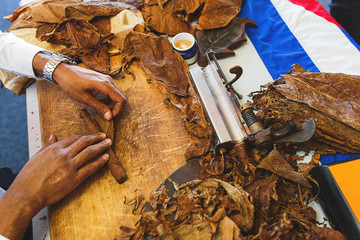 Process of making traditional cigars from tobacco leaves with own hands using a mechanical device and press.