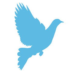 Fototapeta na wymiar Silhouette of dove taking wings - peace symbol