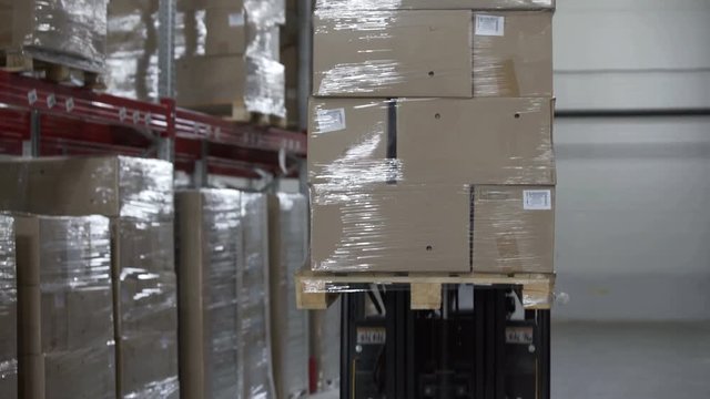 Forklift Trucks unload Pallets with Cardboard Boxes at modern warehouse