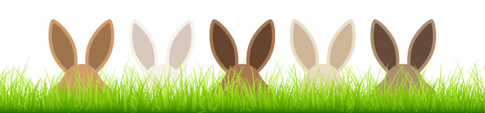 Brown Easter Bunnys Hiding In Meadow Banner