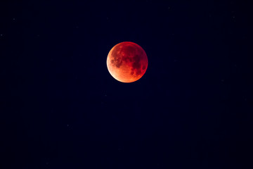 Obraz na płótnie Canvas Lunar Eclipse Super Blood Moon