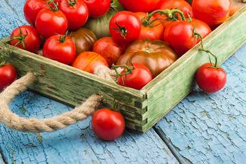 Set of different sorts of ripe tomatoes in the wooden tray