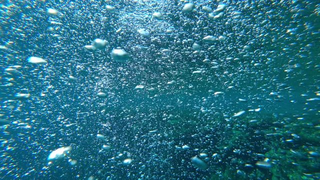 air bubbles rise from the depths of the water