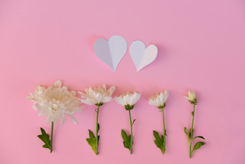 Two white paper hearts and real flowers on pink background
