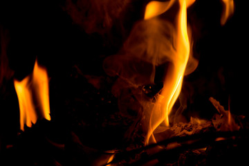 firewood burning on black