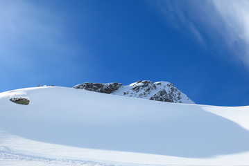 Fototapeta na wymiar Arbres des Alpes sous la neige