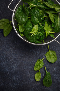 Fresh green spinach leaves on a dark concrete background, top view, flat lay, copy space.