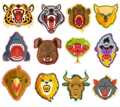 Animals portrait vector heads with open mouth of roaring animals angry lion bear and aggressive wolf illustration set of animalistic beast with teeth isolated on white background