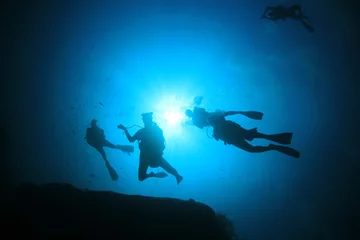 Tuinposter Scuba divers explore coral reef with fish © Richard Carey