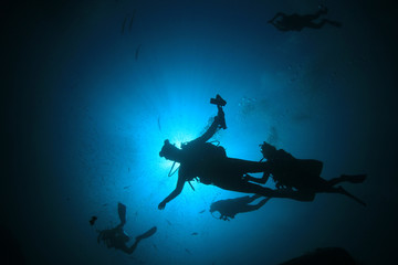 Scuba divers explore coral reef with fish