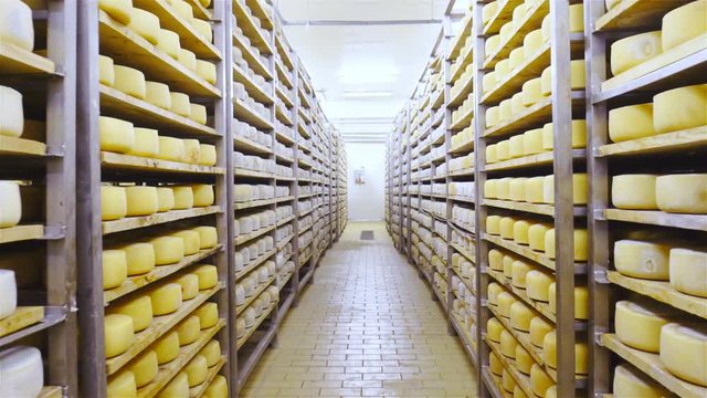 Factory cheese aging storage 4K