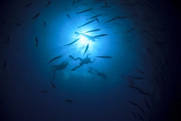Papier Peint photo autocollant Plonger Scuba divers explore coral reef with fish