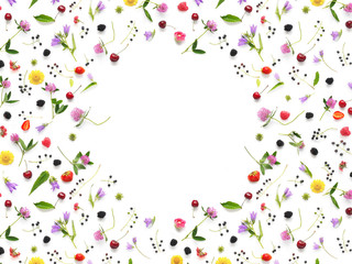 Frame of flowers and berries. Composition pattern from plants, wild flowers and red berries,...