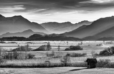 landscape murnauer moos - bavaria