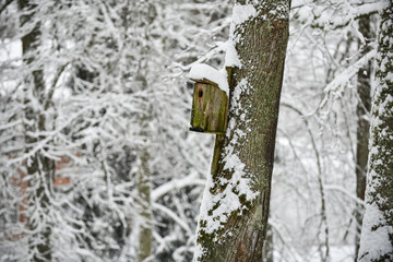 Bird house in the snow. Natural background. Winter landscape.