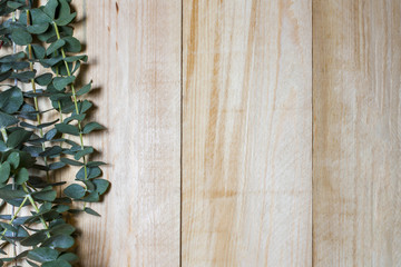 branches of eucalyptus on wooden boards © GladkovPhoto