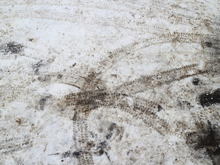 car tire track on the asphalt in the snow
