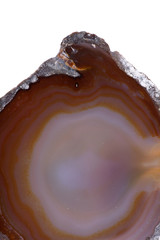 Polished multicolor agate slice isolated on white background