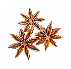 chinise star anise isolate on a white background