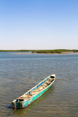 &icirc;le aux coquillages