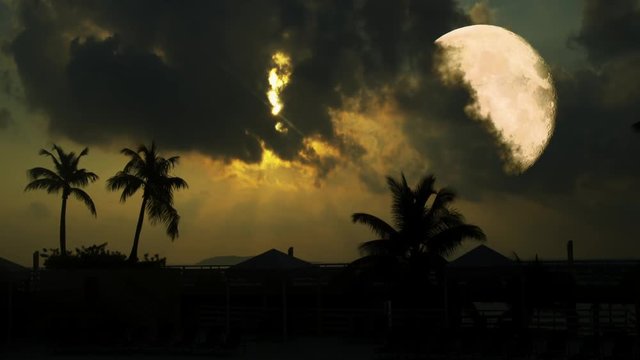 Full moon on a tropical night, palm trees on the night sky background