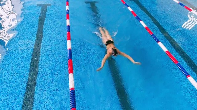 Professional female swimmer in a swimming pool. Aerial view. 4K.