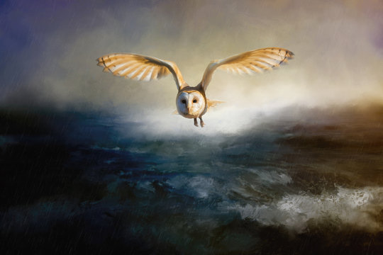An wounderful barn owl flies over the lake. The lake is restless and stormy. 