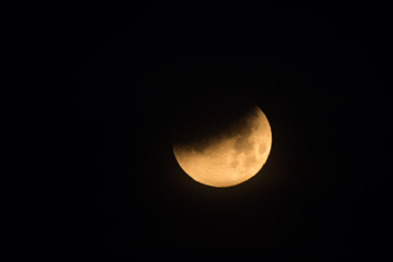 Super Blue Blood Moon Eclipse 2018 in Knoxville TN - obrazy, fototapety, plakaty