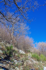 Seniter de montagne en hiver