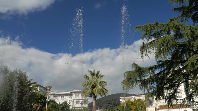 Albania, Saranda. Palm tree and fountain in the city park