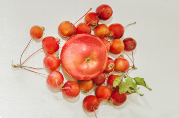 Obraz na płótnie Canvas Red apples . Fresh an Healthy foods concept.