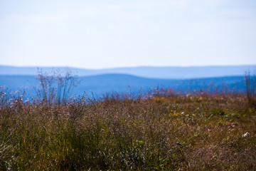 Summer in lapland, Finland