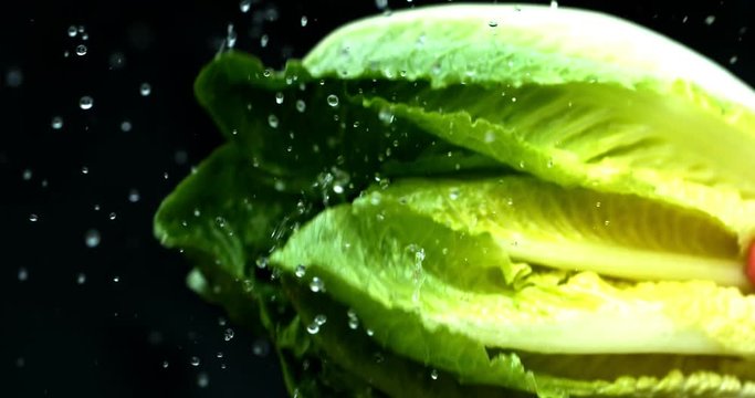 Lettuce green leaf salad slow motion water washing shot on Phantom Flex 4K
