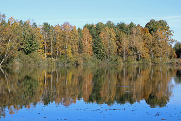 Fototapeta na wymiar Calm scenery of autumn nature