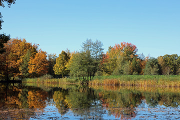Fototapeta na wymiar Autumn colored nature reflecting at lake