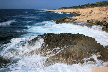 rough nature in national park Kamenjak, Premantura, Croatia