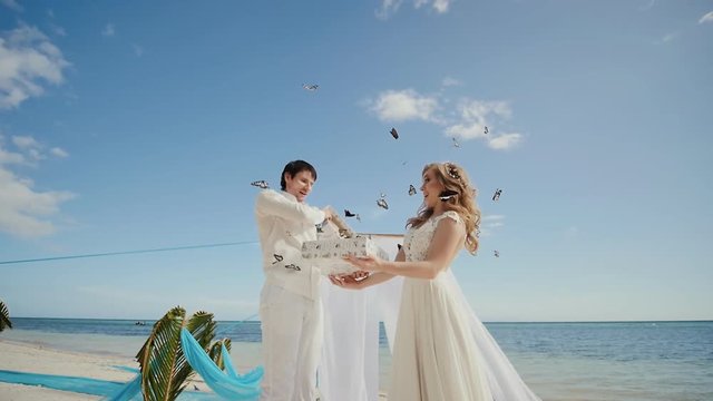 They let the dark butterflies out of the box to fly. A fabulous moment of the wedding day. Married, the bride and groom, together in sunlight on a beautiful tropical beach by the ocean.