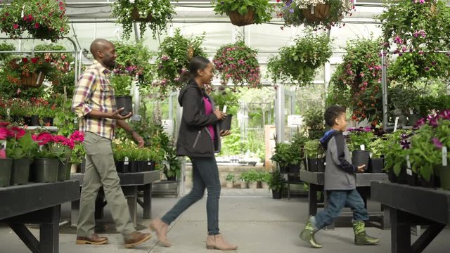 Young family carrying flower pots in a greenhouse