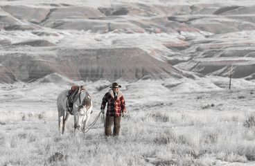 Fototapeta premium Walking his horse