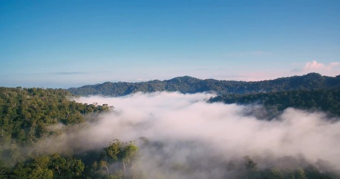 Aerial, Rainforest In Reserva Forestal Golfo Dulce, Costa Rica
