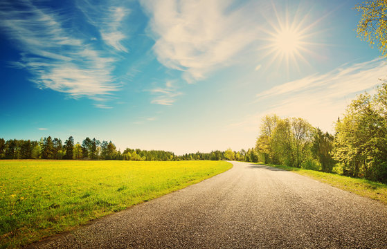 asphalt road panorama in countryside on sunny spring day.. Route in beautiful nature landscape with sun, blue sky, green grass and dandelions