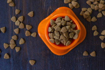 Top view of dry pet food in a bowl.
