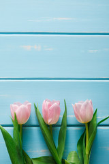 Obraz na płótnie Canvas Pink tulips on blue wood background, copy space