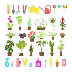 Window gardening infographic elements