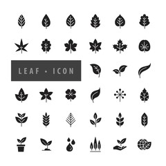 Leaf Icon Set Vector Illustration, icons modern design style