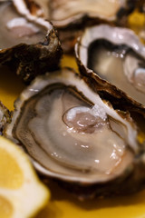 open shell oyster top view. refined seafood. raw food diet.