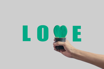 Hand holding Hoya Kerrii making a sign for the letter V in the word LOVE, minimal concept
