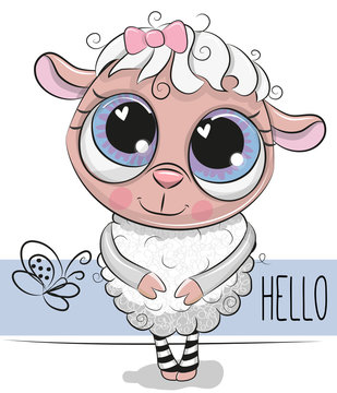 Cute Sheep on a white background