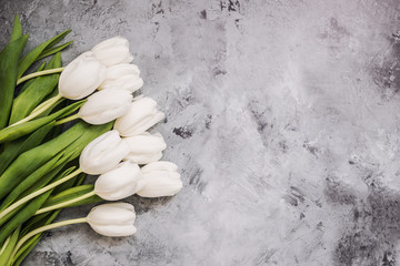 beautiful tulips on white rustic background